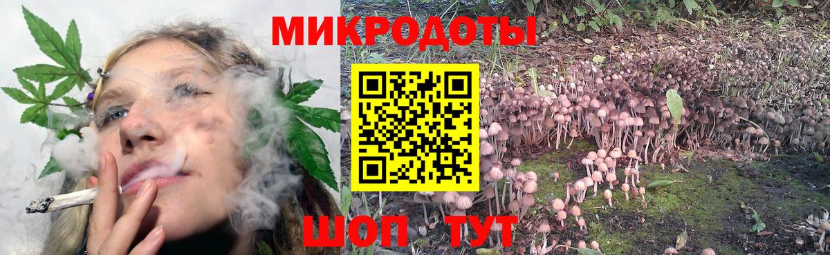 Галлюциногенные грибы MAGIC MUSHROOMS Назрань